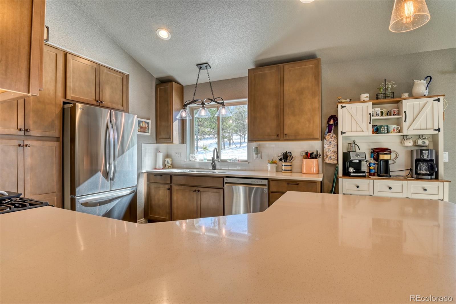 24 Big Horn Circle Florissant CO 80816