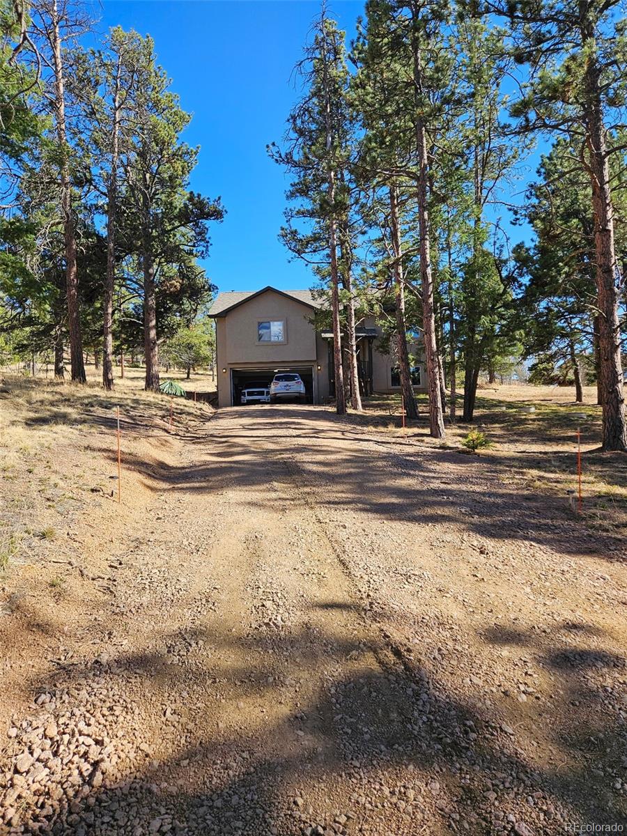 24 Big Horn Circle Florissant CO 80816