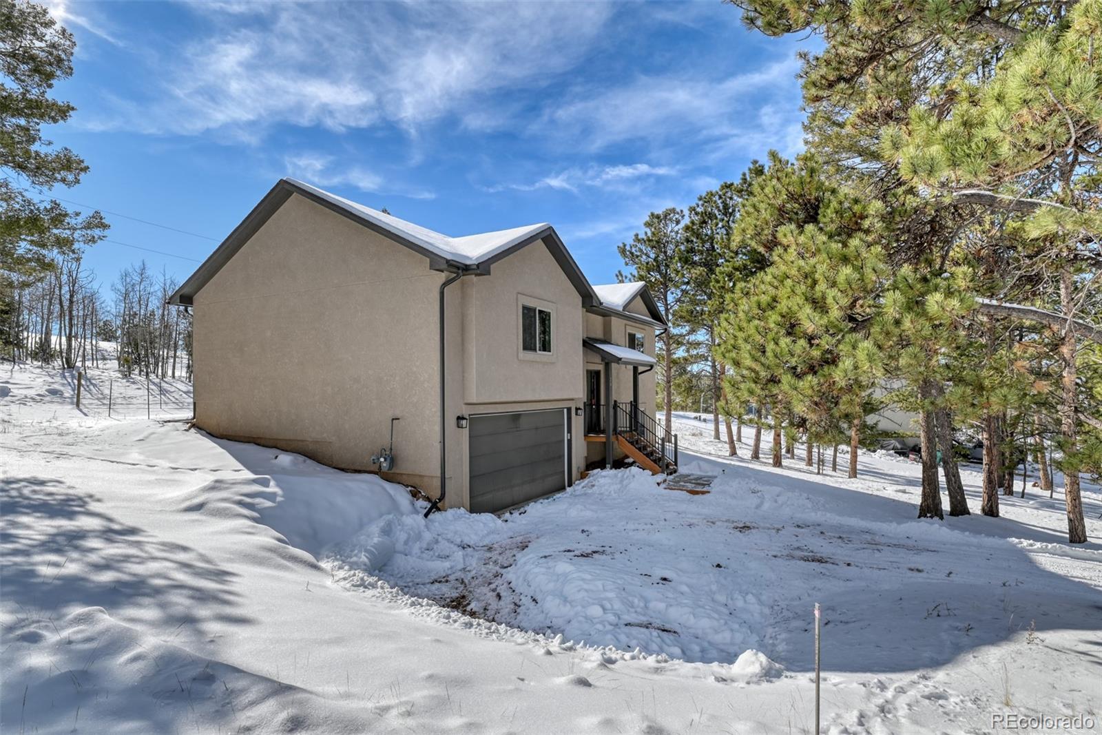 24 Big Horn Circle Florissant CO 80816