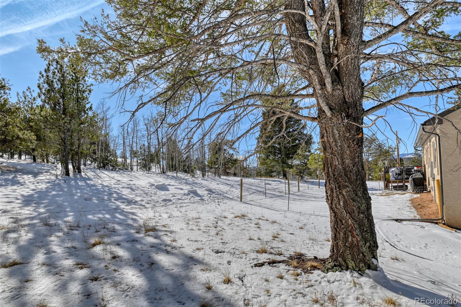 24 Big Horn Circle Florissant CO 80816