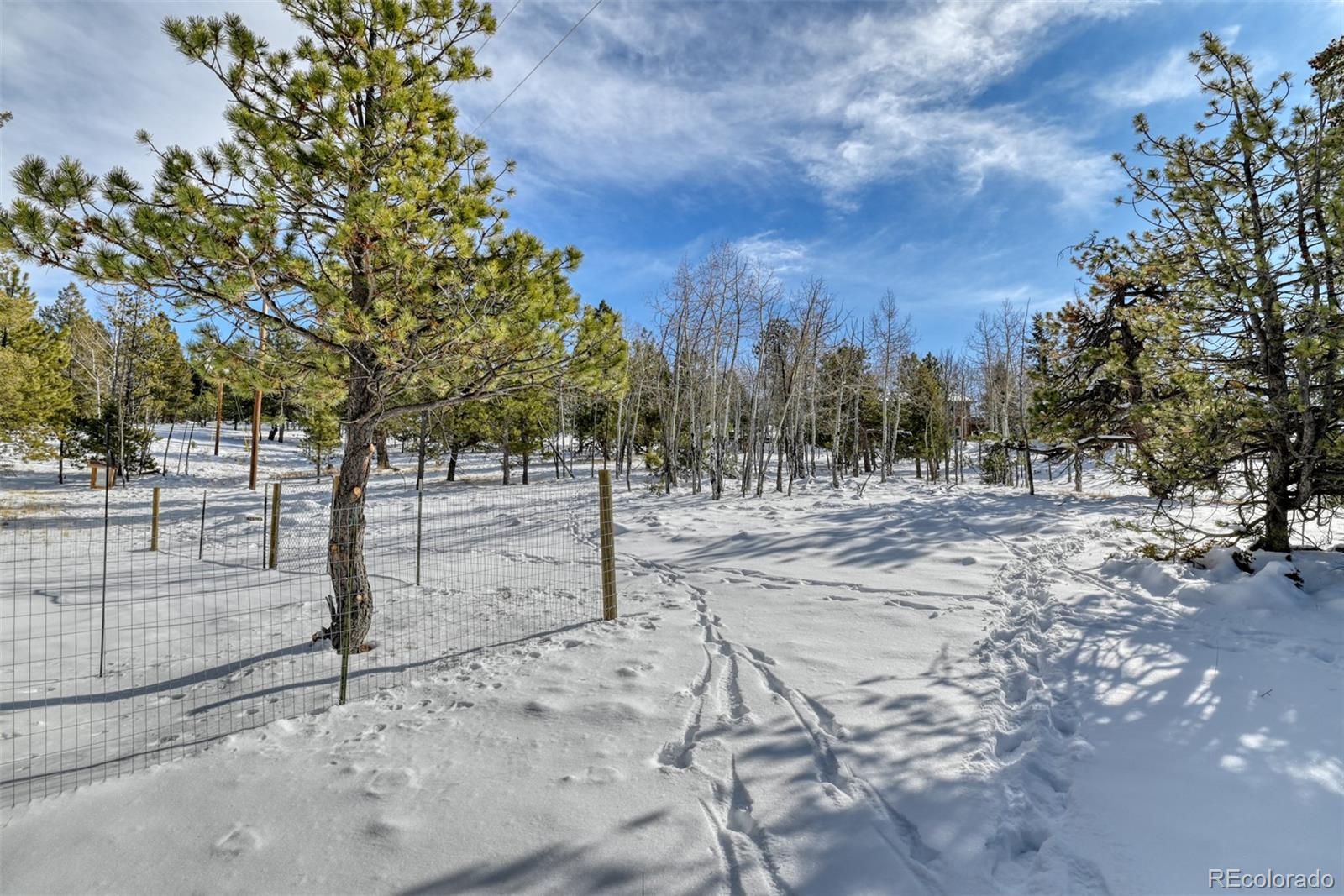 24 Big Horn Circle Florissant CO 80816
