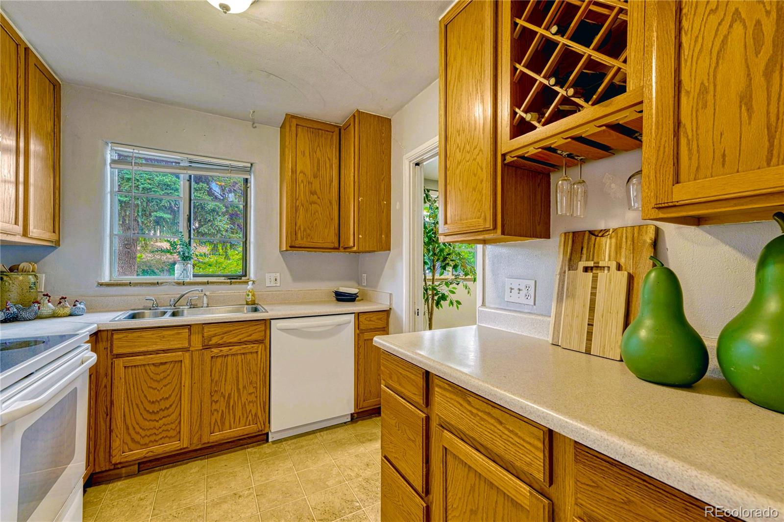 1103 Kearney Street Denver CO 80220