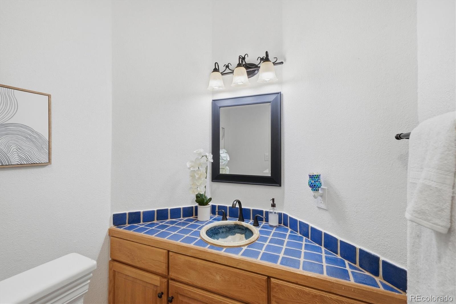1630 Plowman Place Monument CO 80132