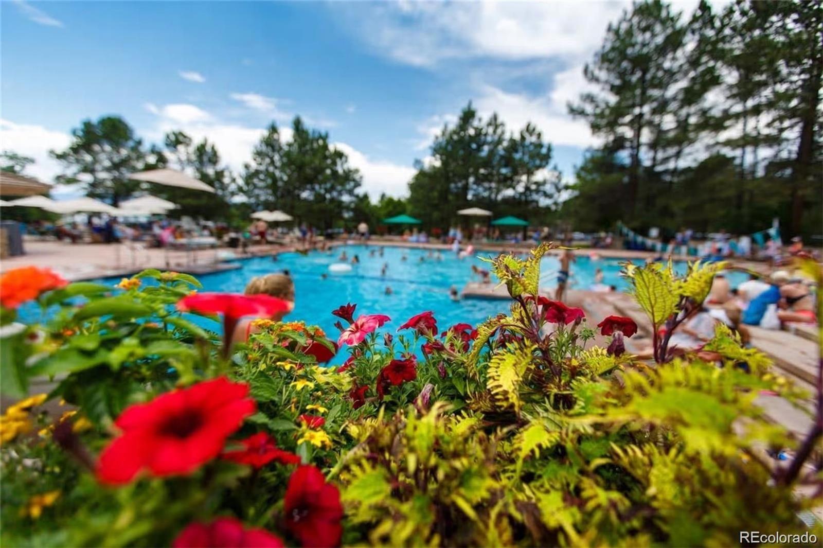 3209 Country Club Parkway Castle Rock CO 80108