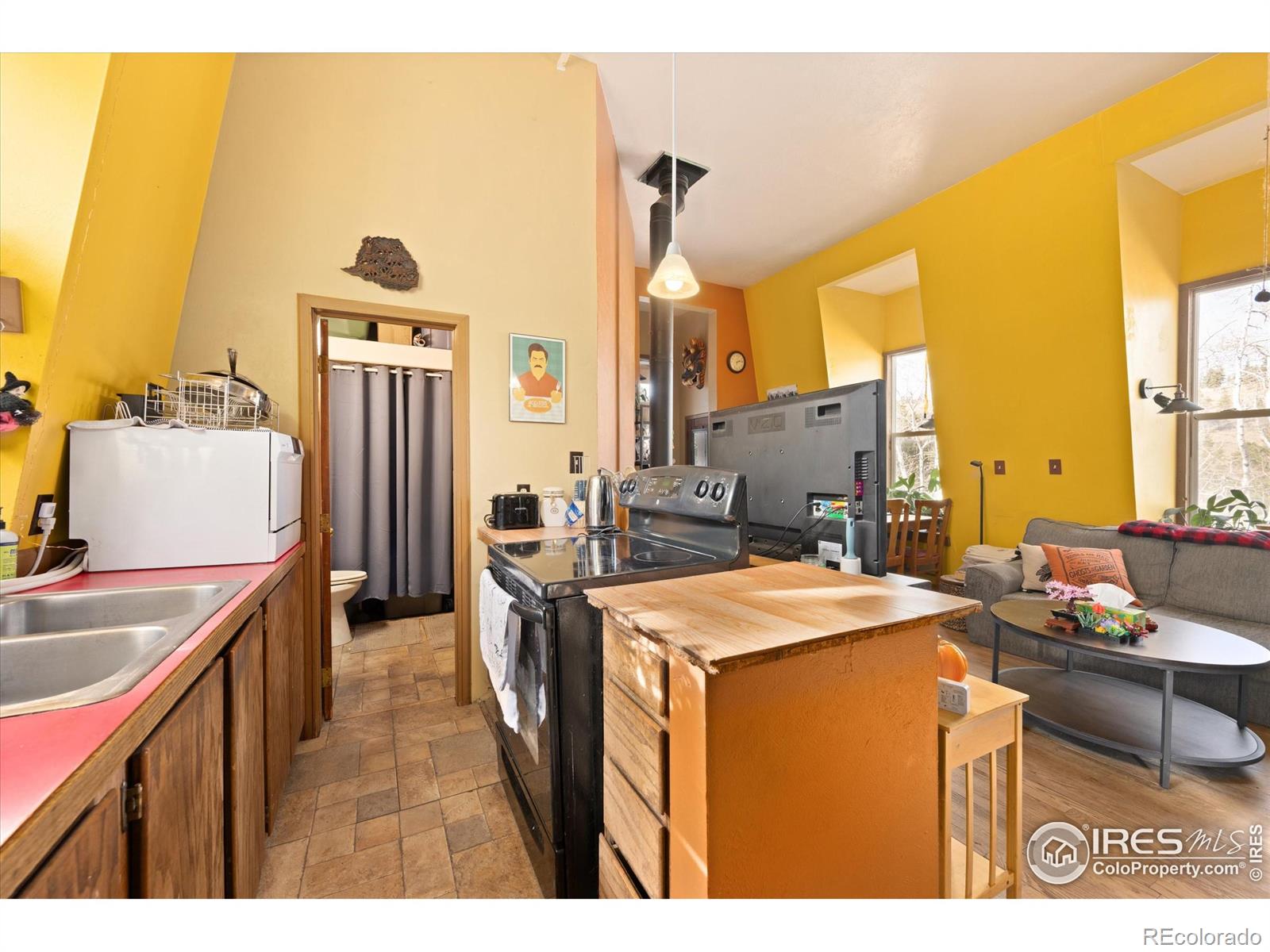 156 Mountain Meadow Lane Bellvue CO 80512