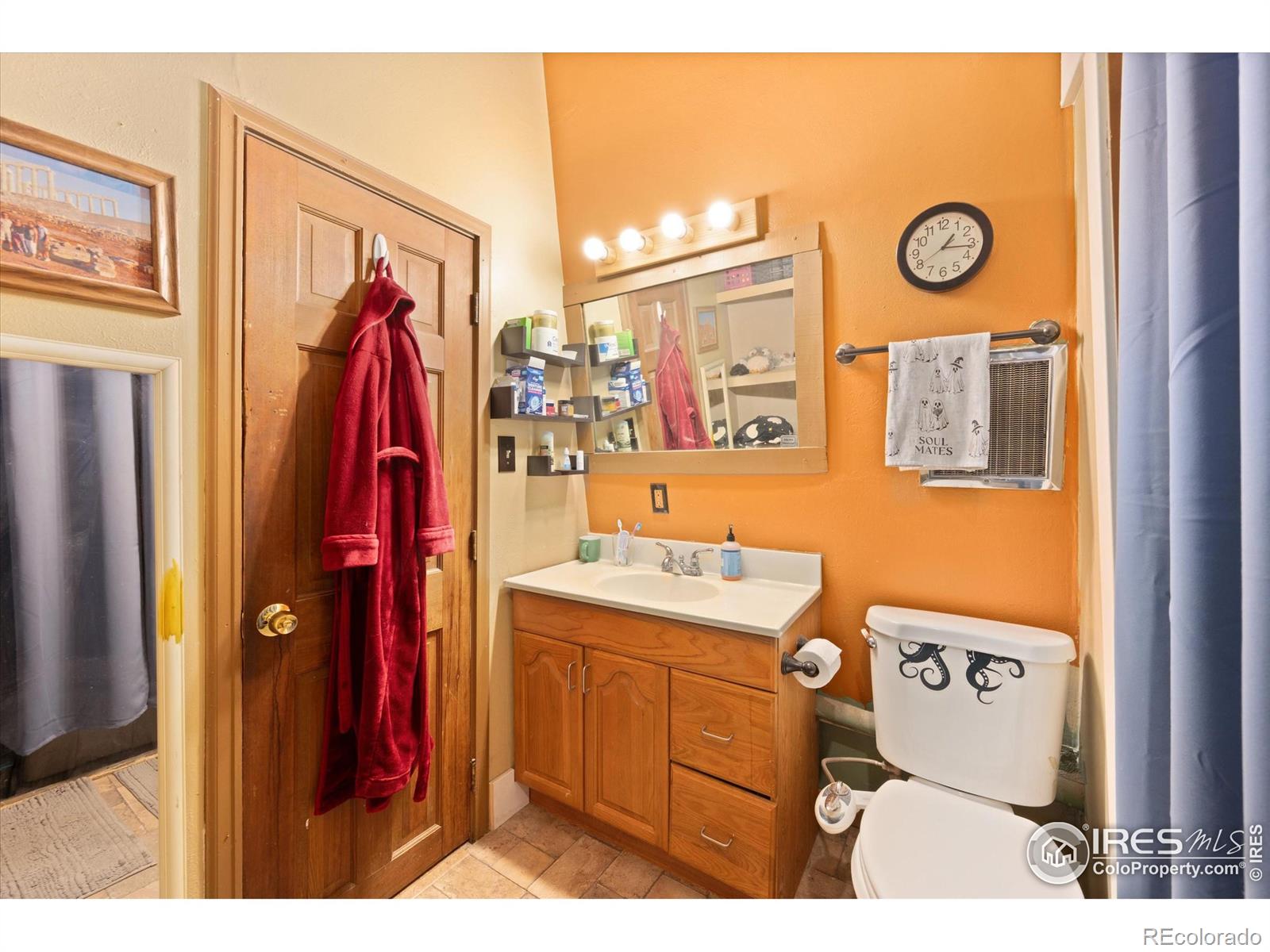 156 Mountain Meadow Lane Bellvue CO 80512