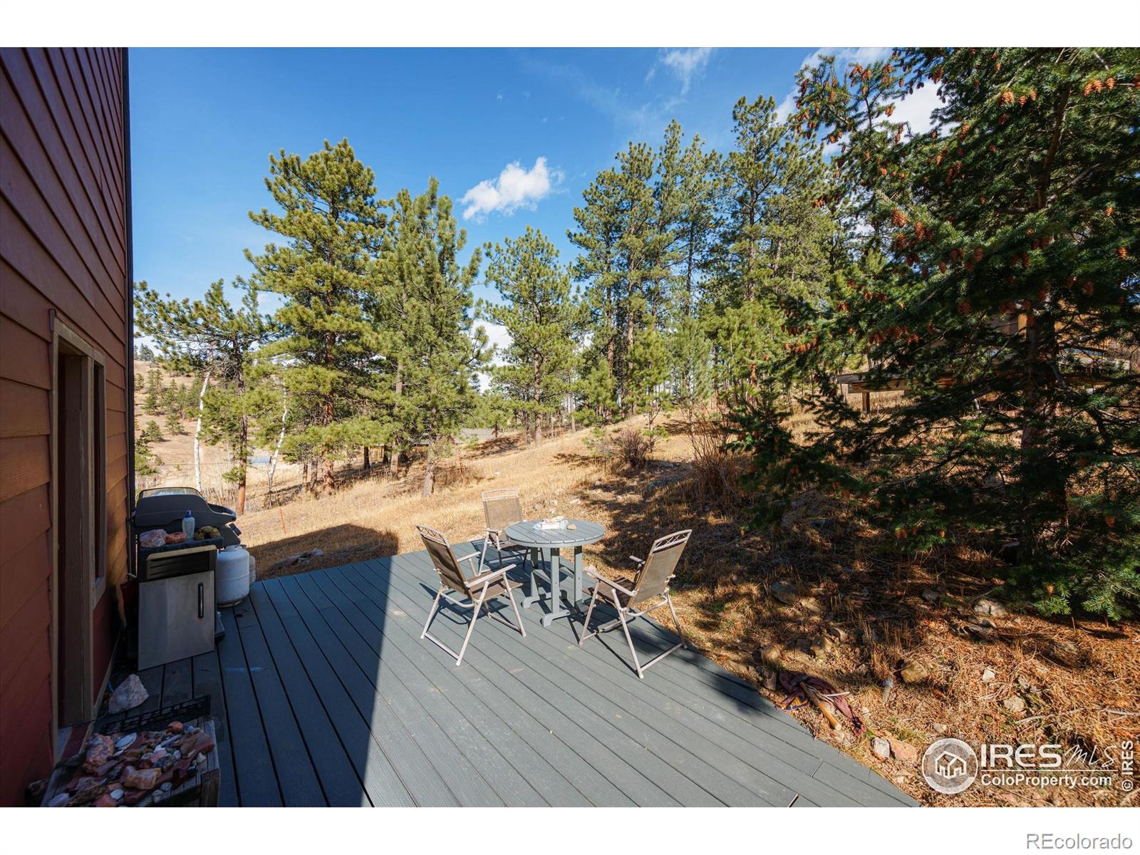 156 Mountain Meadow Lane Bellvue CO 80512