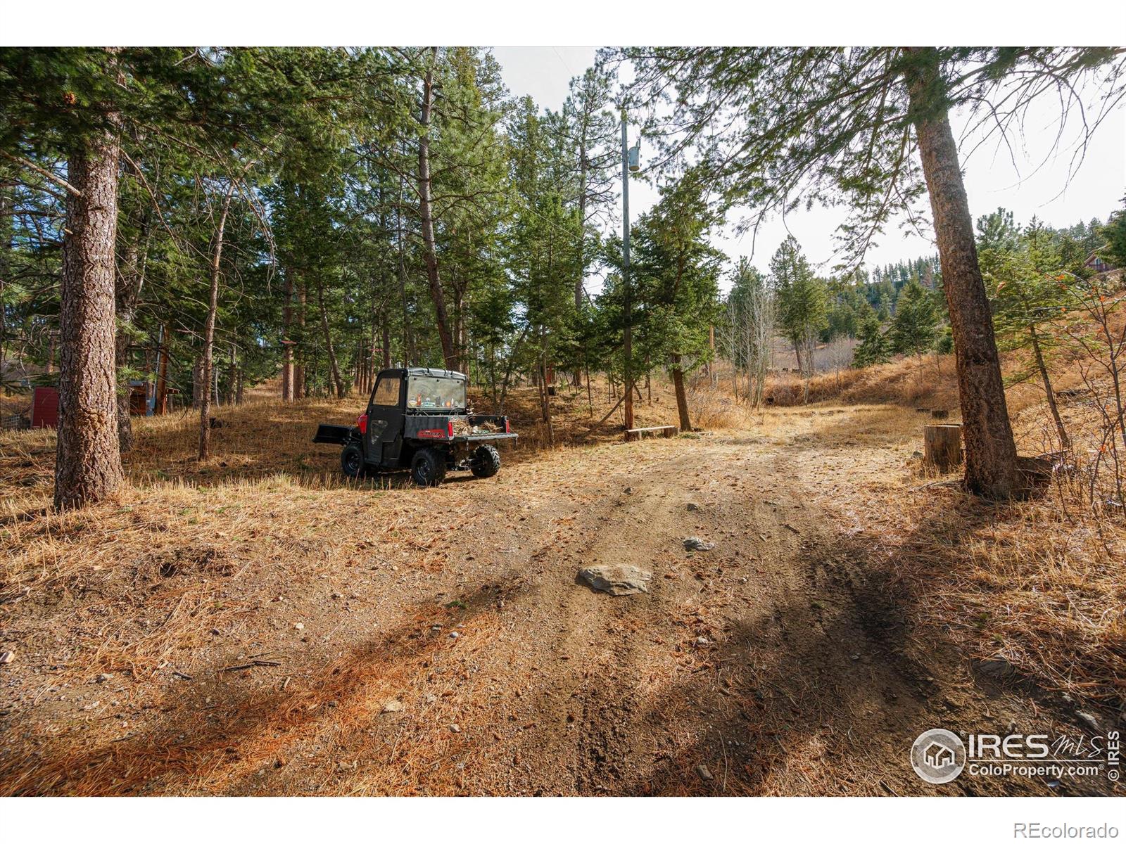 156 Mountain Meadow Lane Bellvue CO 80512