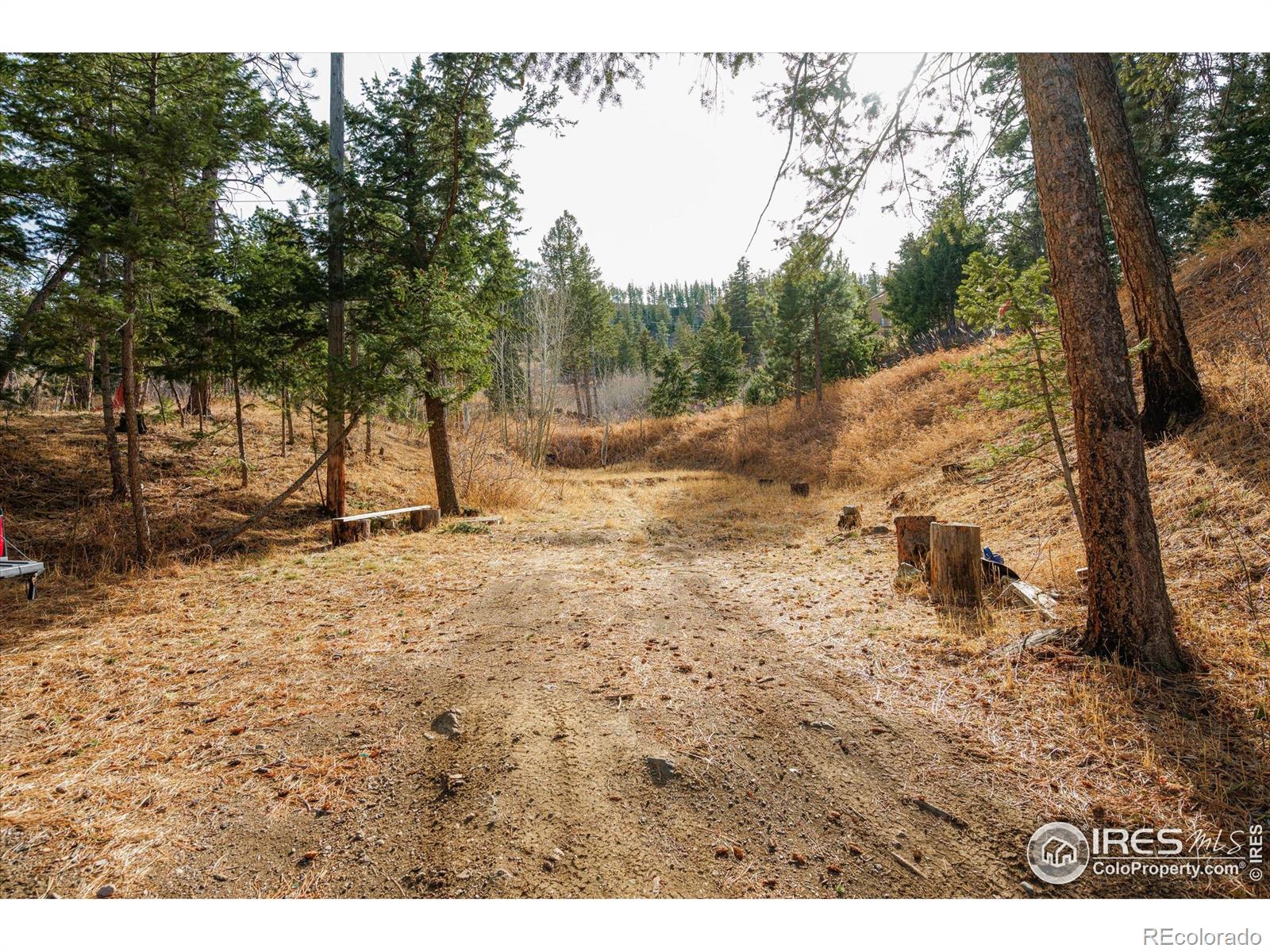 156 Mountain Meadow Lane Bellvue CO 80512