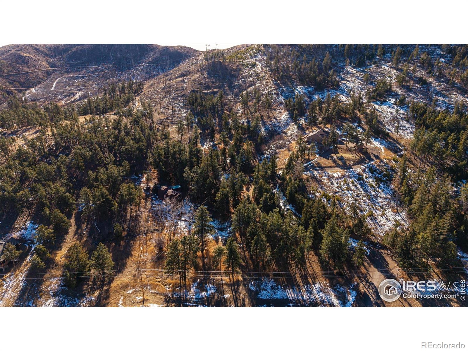 156 Mountain Meadow Lane Bellvue CO 80512