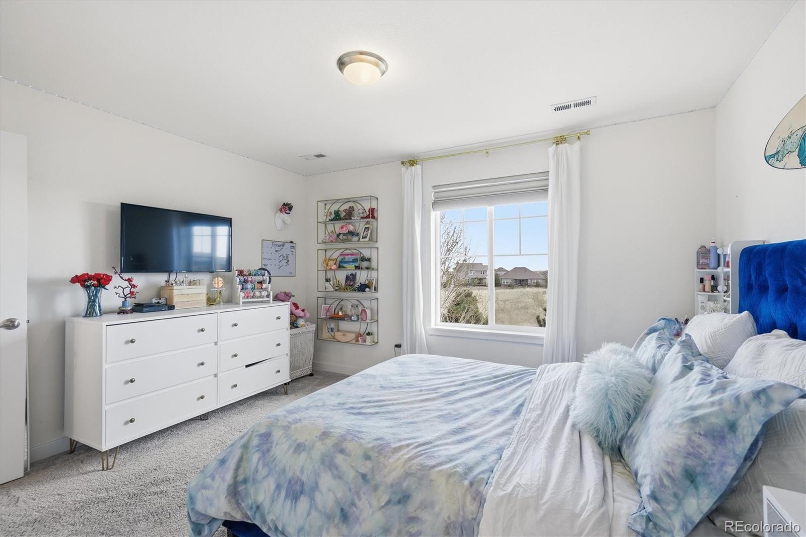 23199 E Narrowleaf Drive Aurora CO 80016