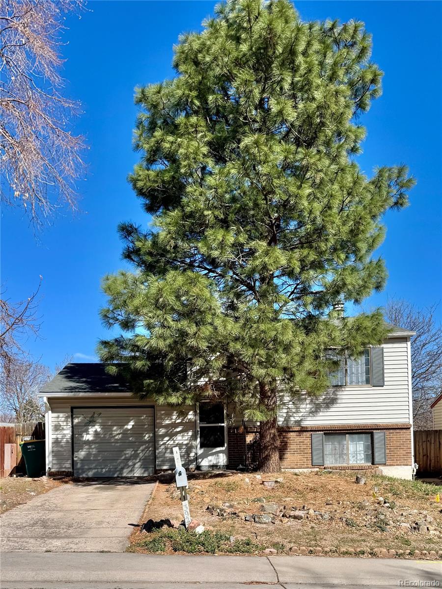 3927 S Pitkin Way Aurora CO 80013