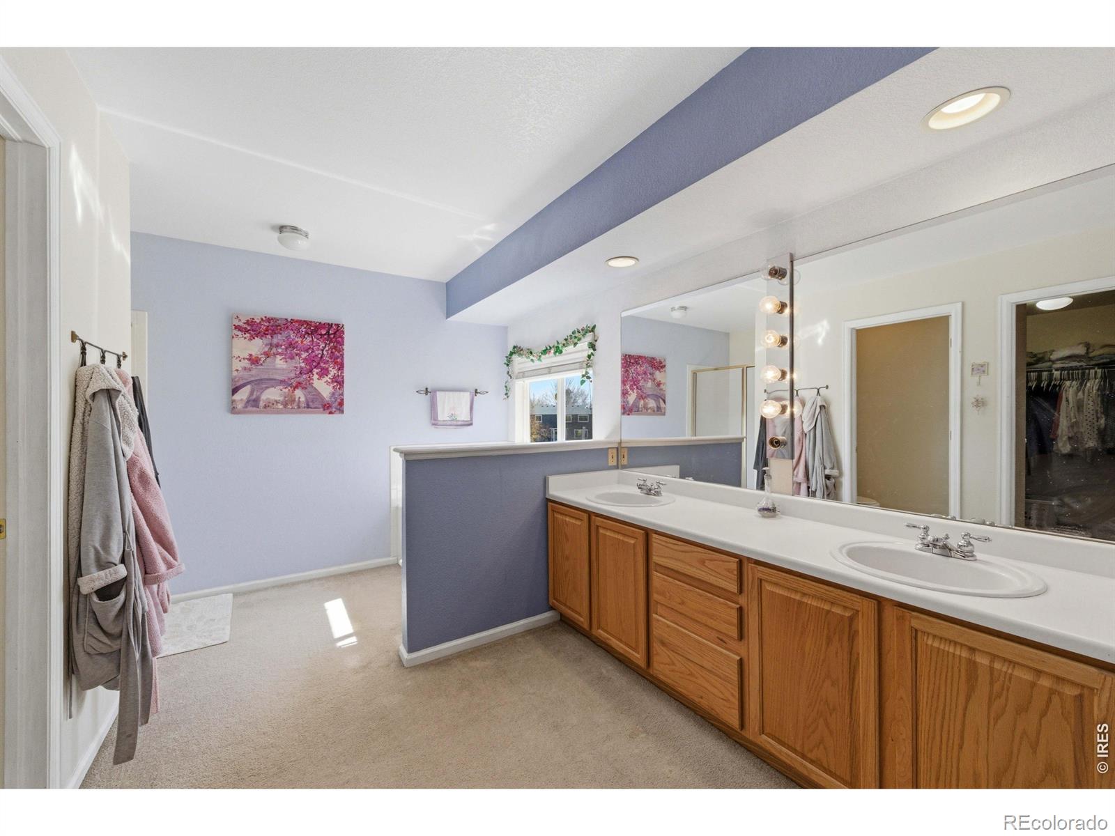 539 Abbey Drive Longmont CO 80504
