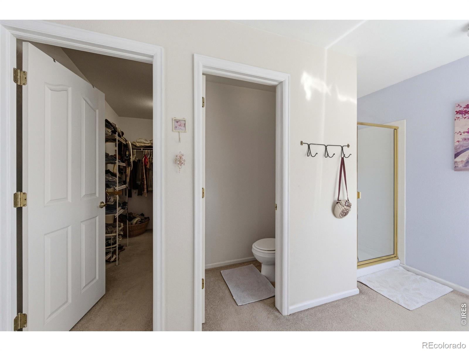 539 Abbey Drive Longmont CO 80504