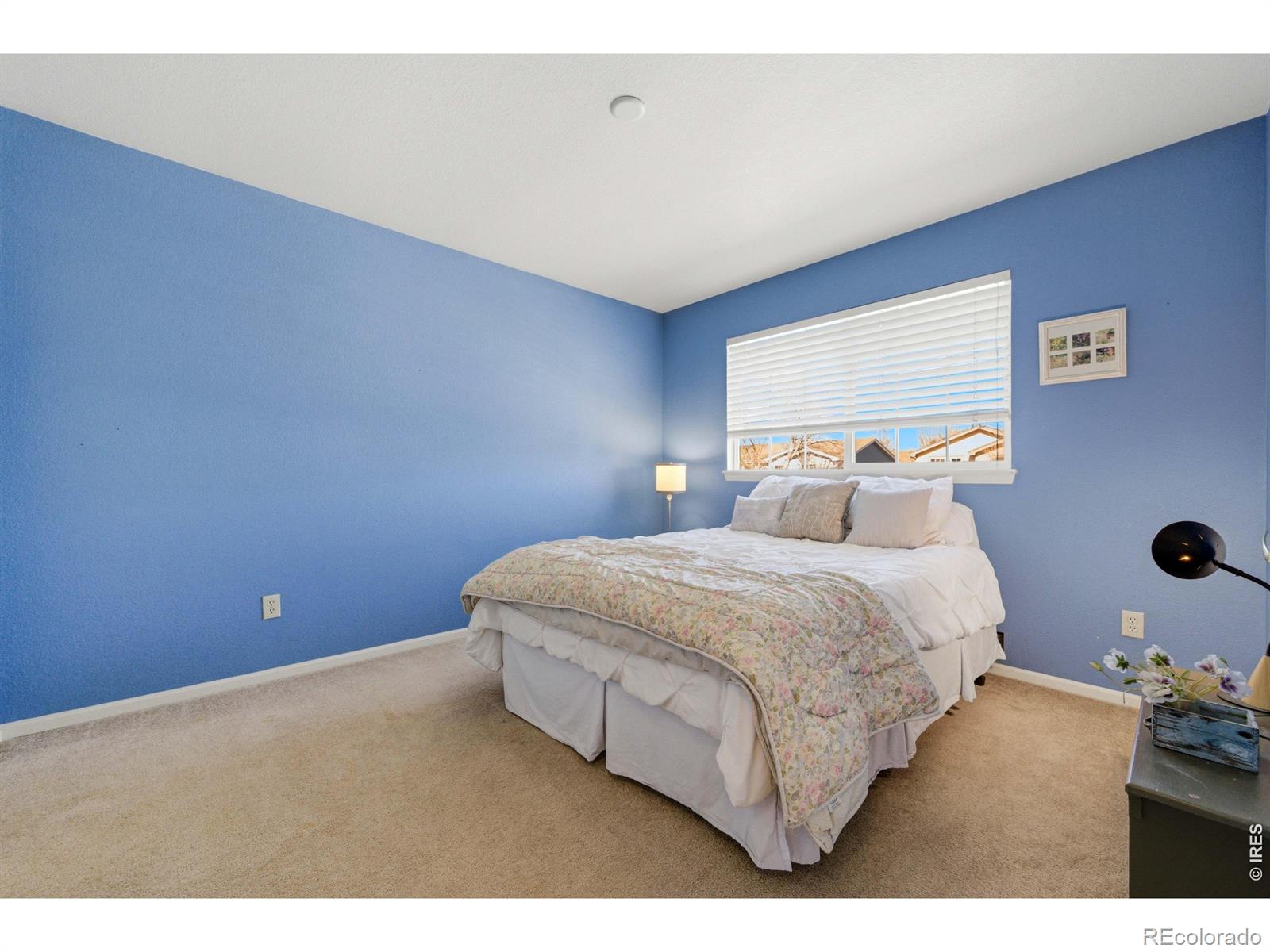 539 Abbey Drive Longmont CO 80504