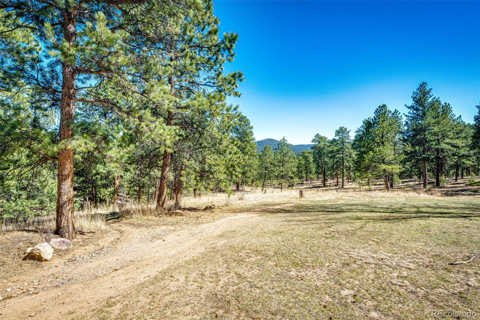 4257 Troutdale Village Drive Evergreen CO 80439