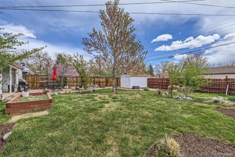3600 Olive Street Denver CO 80207