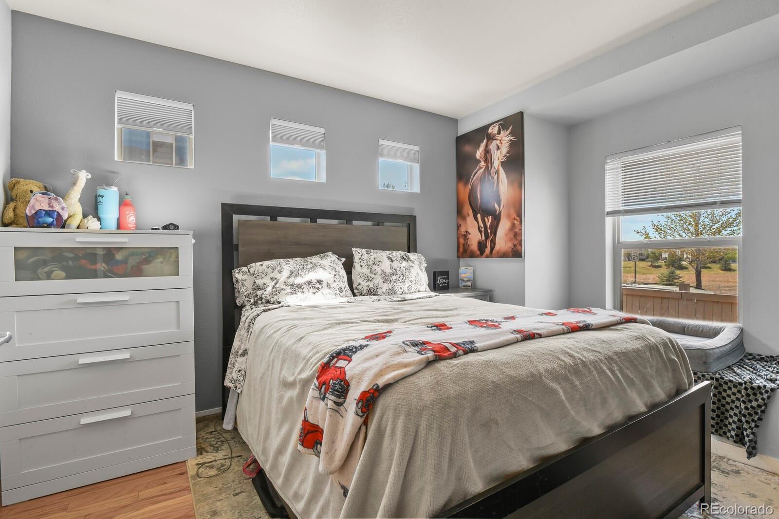 4532 Elegant Street Castle Rock CO 80109