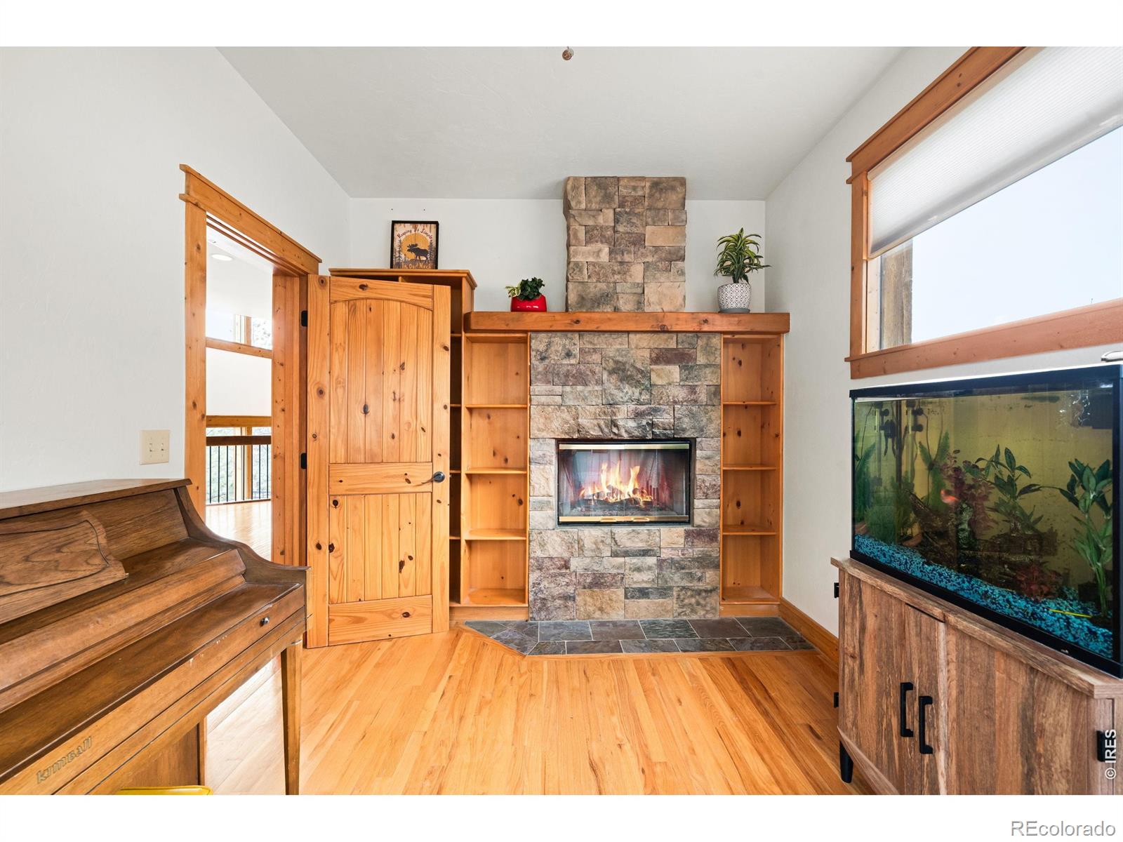 229 Mohawk Trail Pine CO 80470