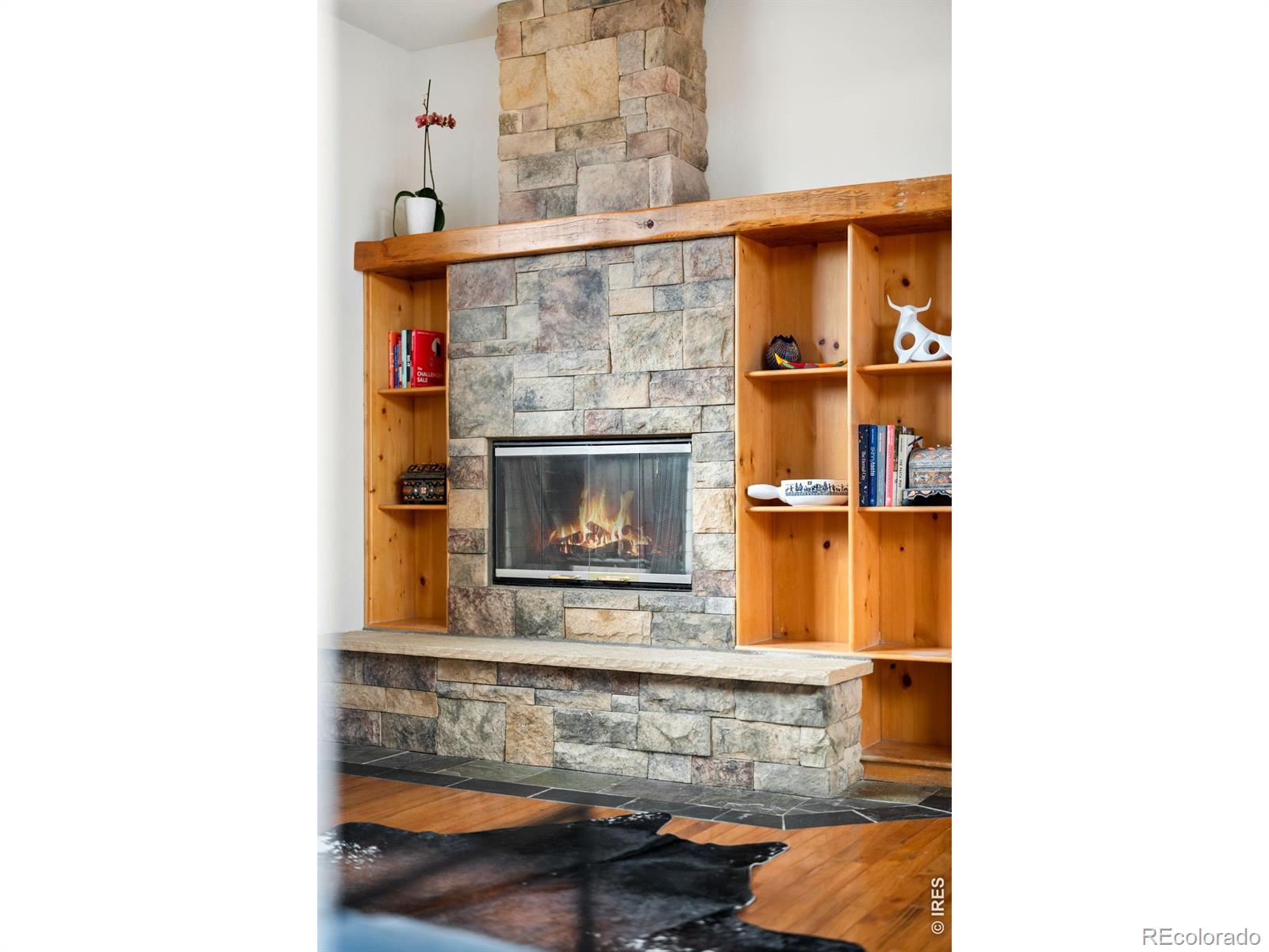 229 Mohawk Trail Pine CO 80470