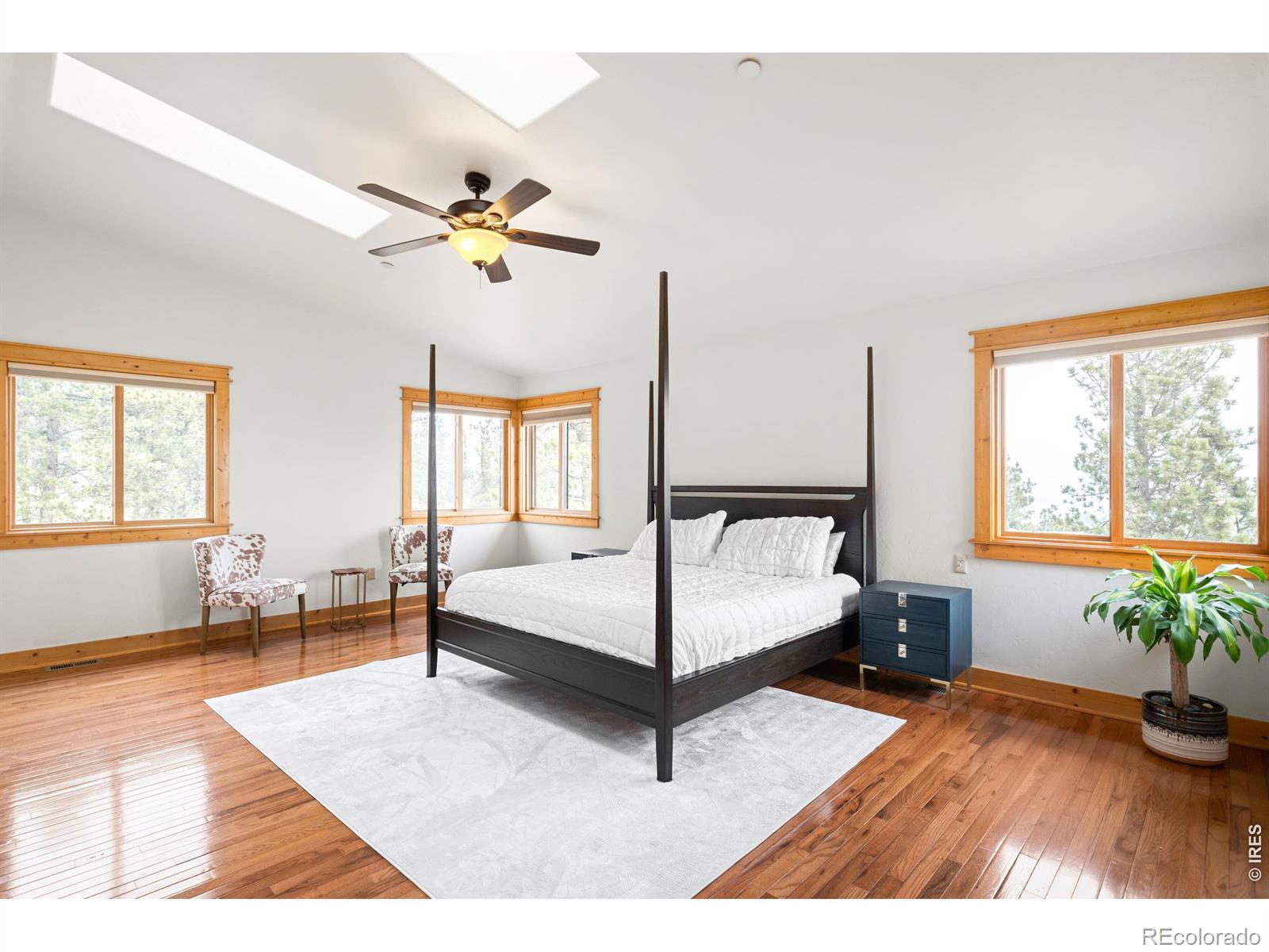 229 Mohawk Trail Pine CO 80470