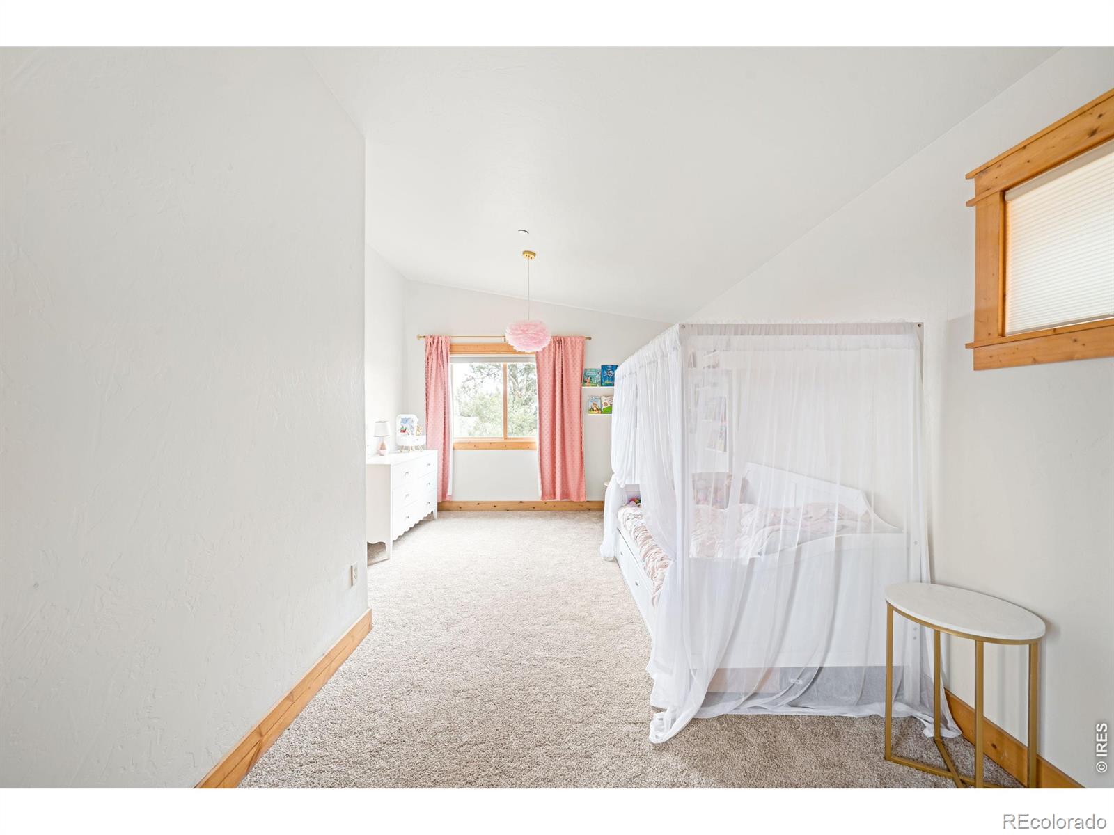 229 Mohawk Trail Pine CO 80470