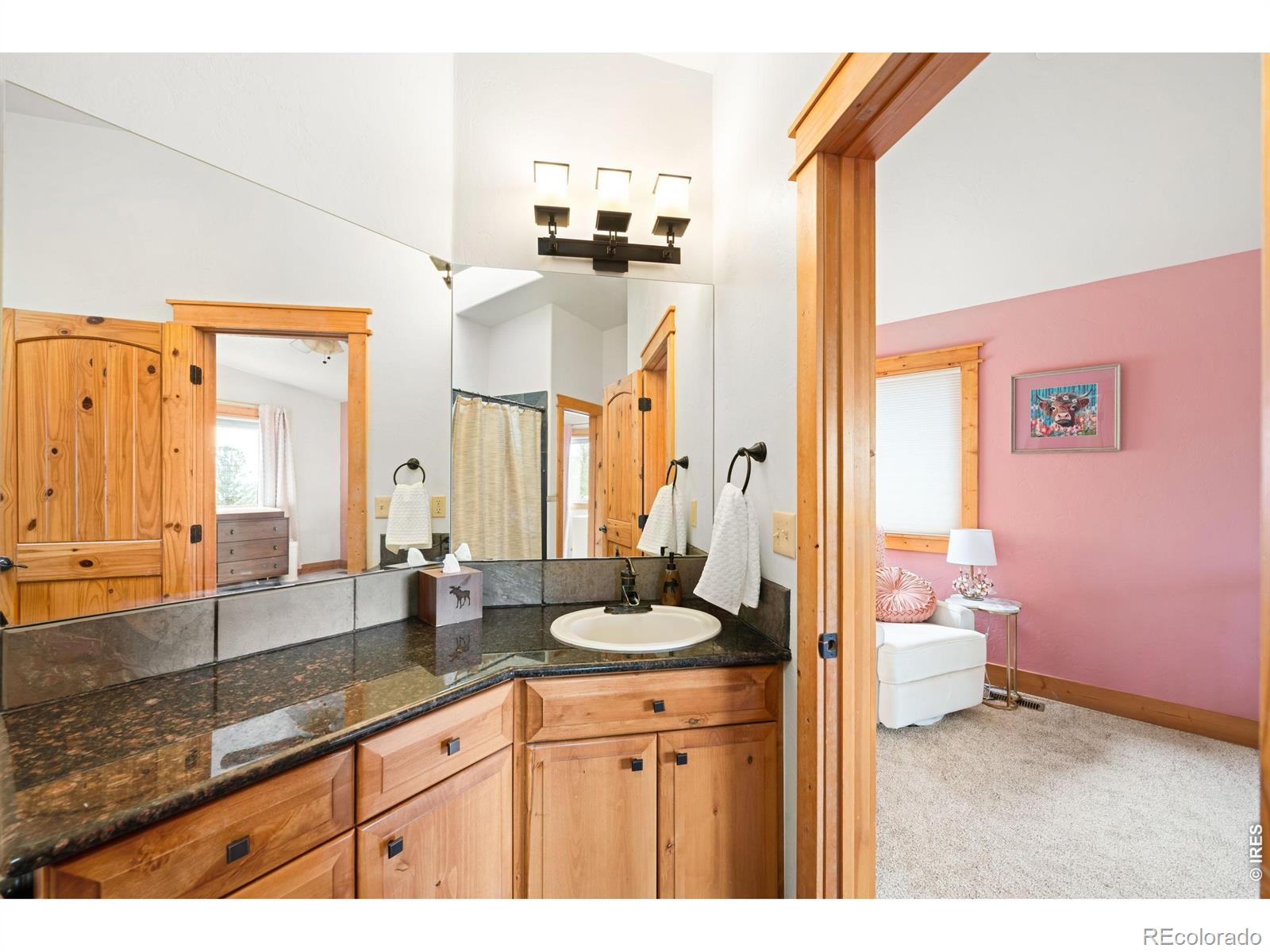 229 Mohawk Trail Pine CO 80470