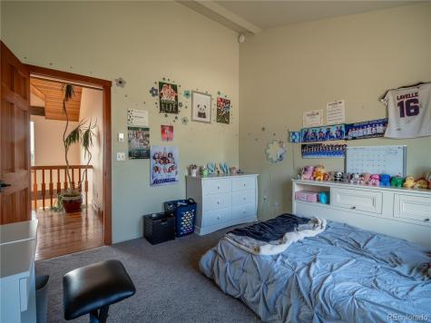 33515 Mount Harvard Circle Buena Vista CO 81211