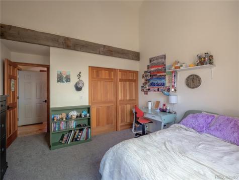 33515 Mount Harvard Circle Buena Vista CO 81211