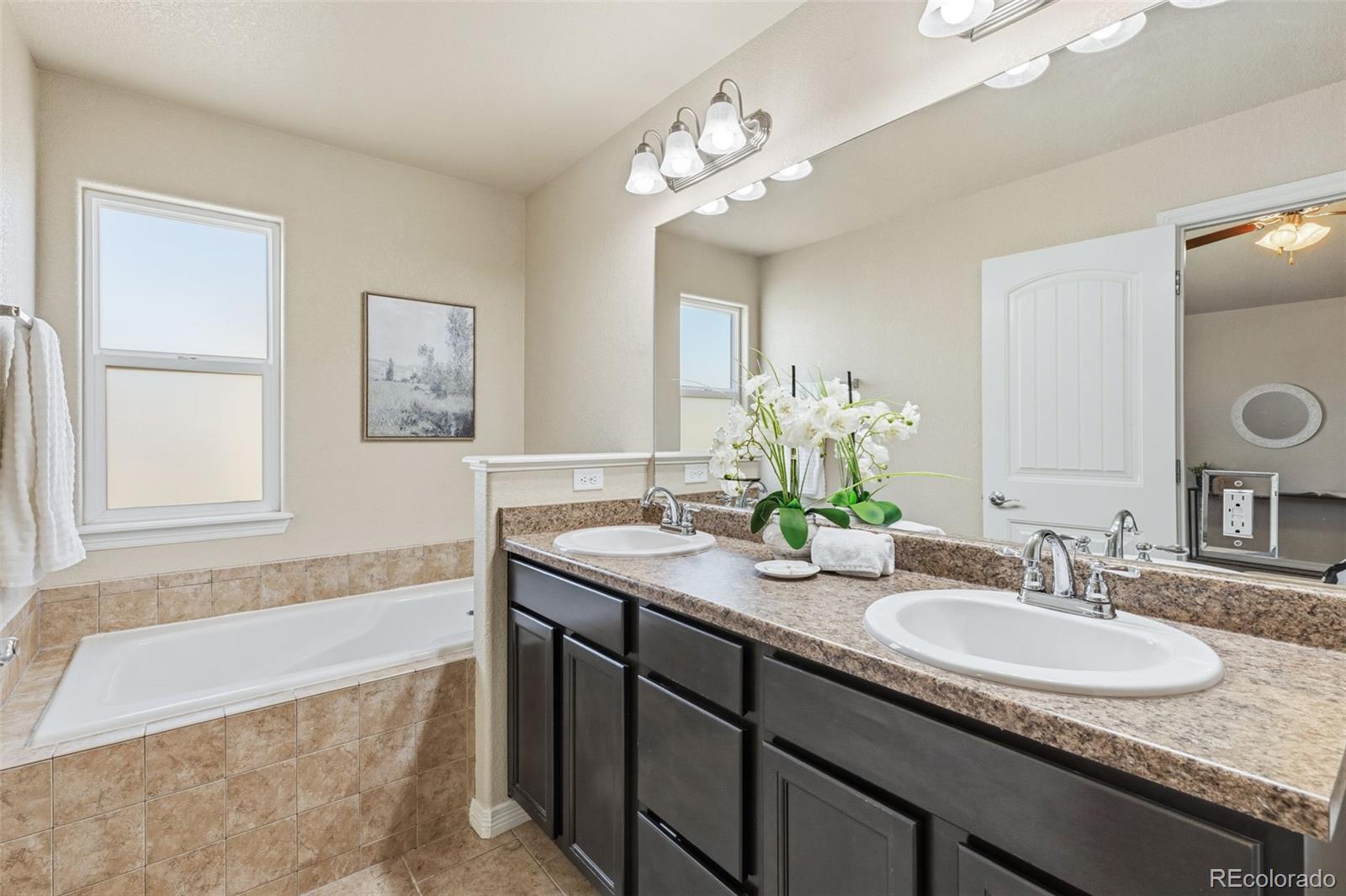 7916 Lightwood Way Colorado Springs CO 80908