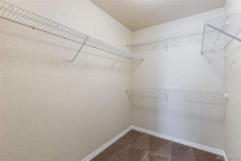 7916 Lightwood Way Colorado Springs CO 80908