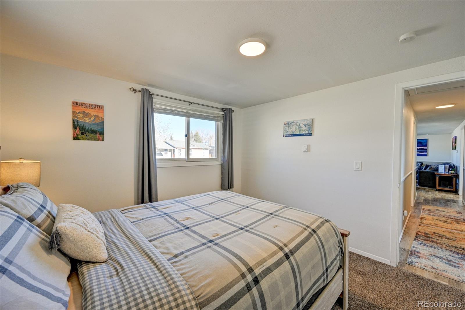 116 Dartmouth Drive Buena Vista CO 81211