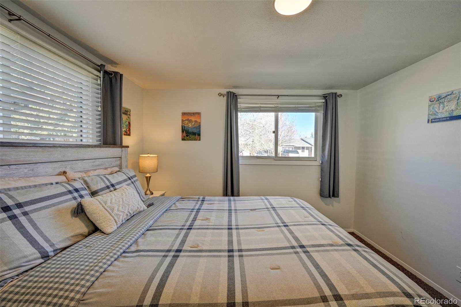 116 Dartmouth Drive Buena Vista CO 81211