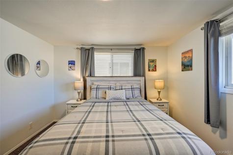 116 Dartmouth Drive Buena Vista CO 81211