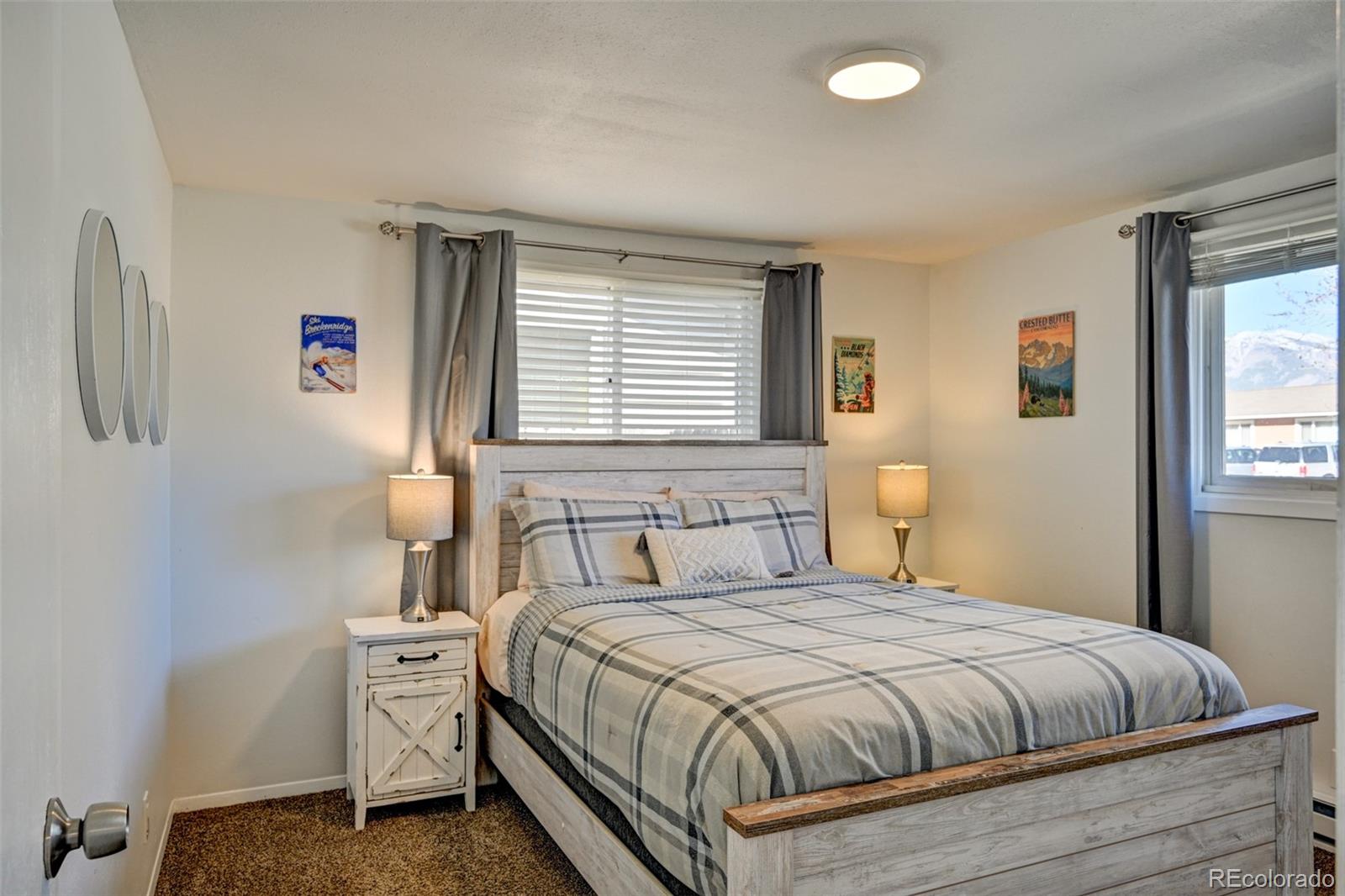 116 Dartmouth Drive Buena Vista CO 81211
