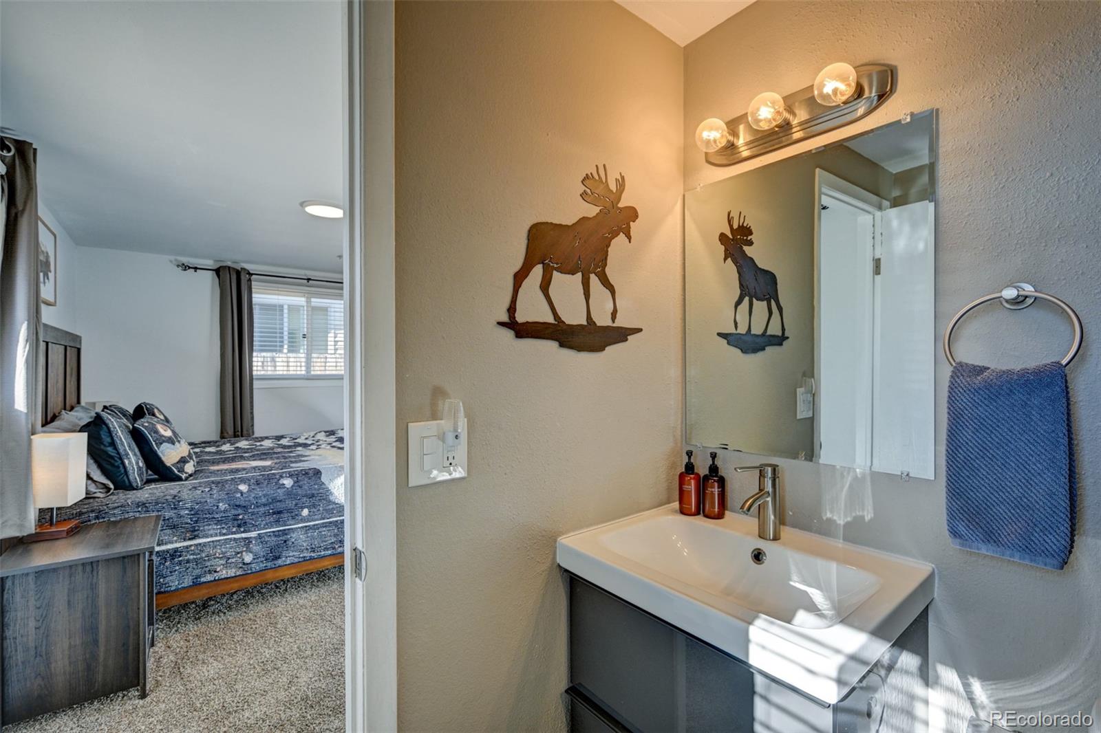 116 Dartmouth Drive Buena Vista CO 81211