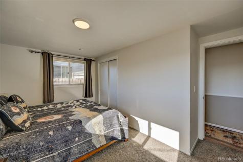 116 Dartmouth Drive Buena Vista CO 81211
