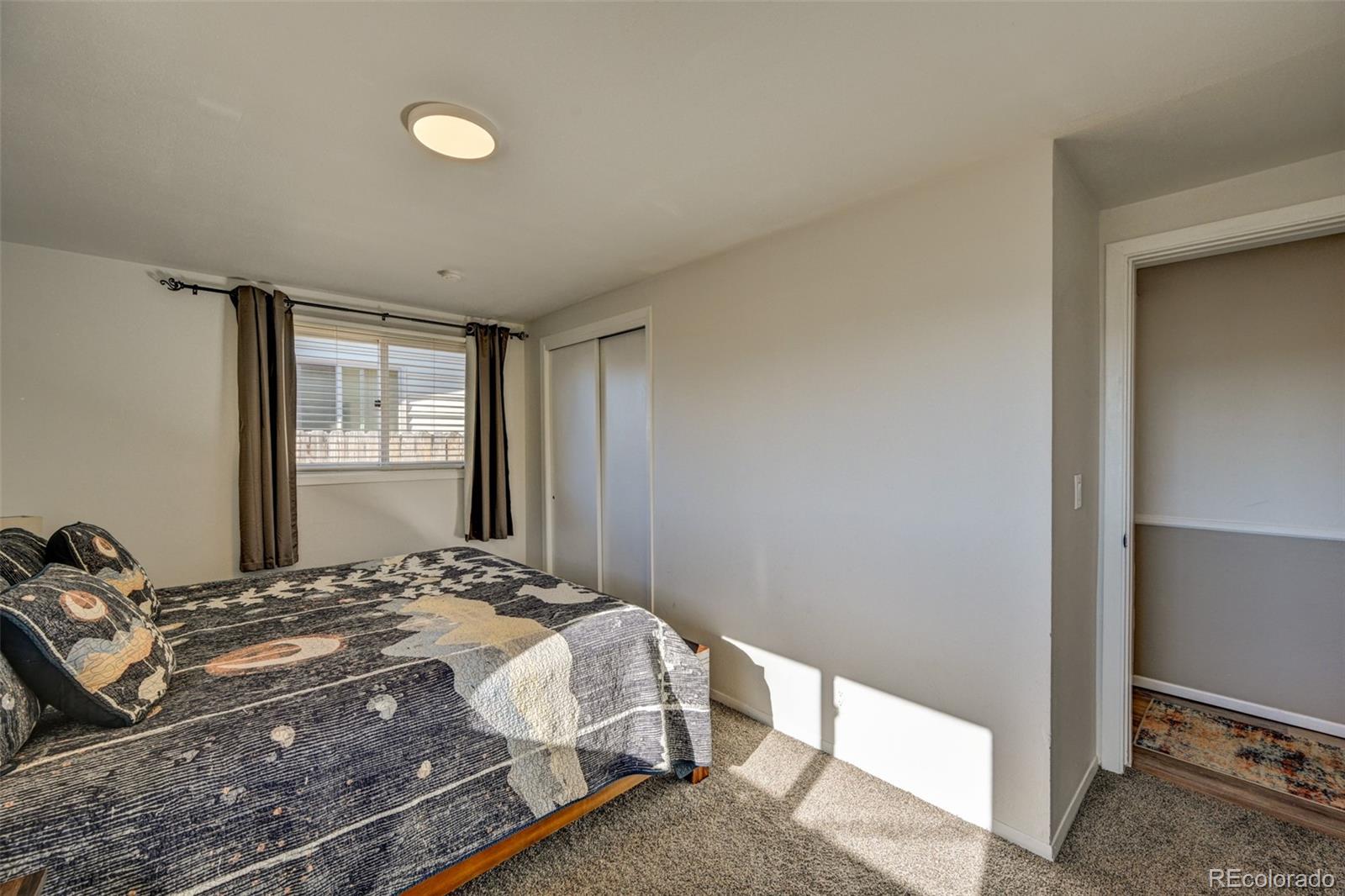 116 Dartmouth Drive Buena Vista CO 81211