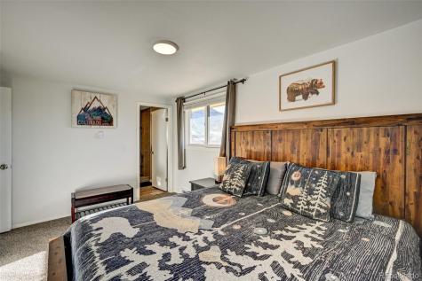 116 Dartmouth Drive Buena Vista CO 81211