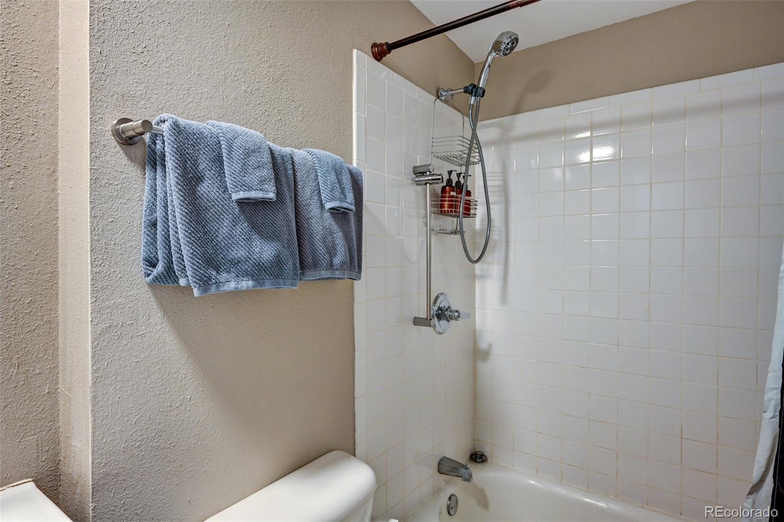 116 Dartmouth Drive Buena Vista CO 81211