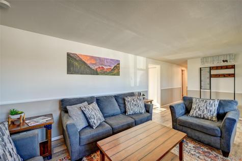 116 Dartmouth Drive Buena Vista CO 81211
