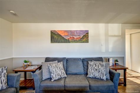 116 Dartmouth Drive Buena Vista CO 81211