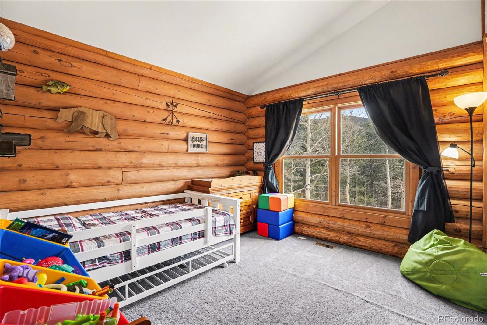 220 Rocky Mountain View Divide CO 80814