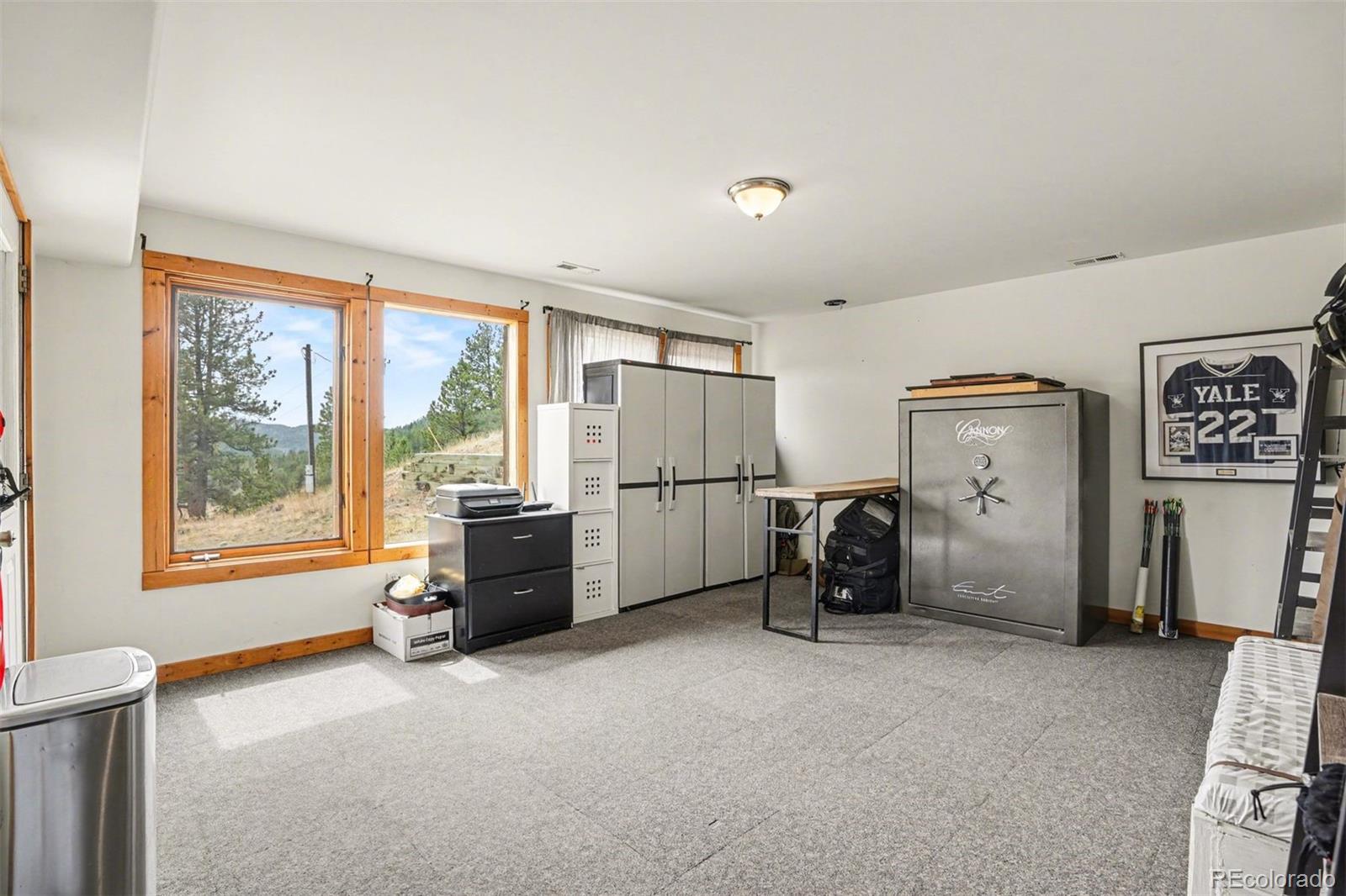 220 Rocky Mountain View Divide CO 80814