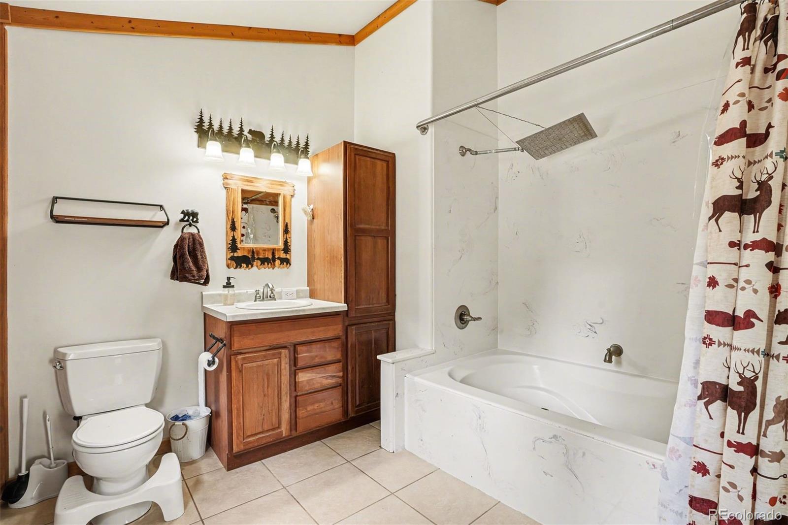 220 Rocky Mountain View Divide CO 80814