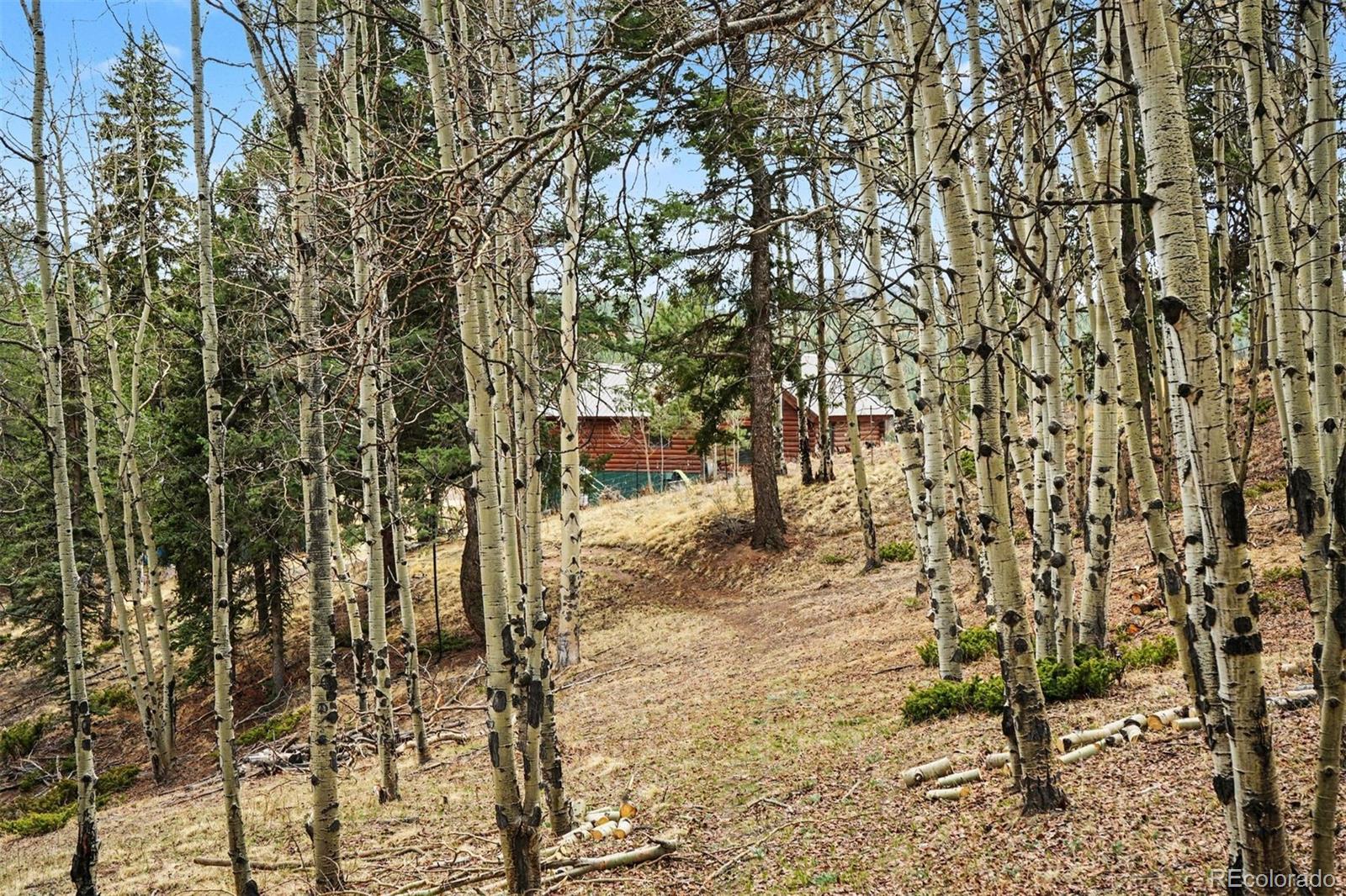 220 Rocky Mountain View Divide CO 80814