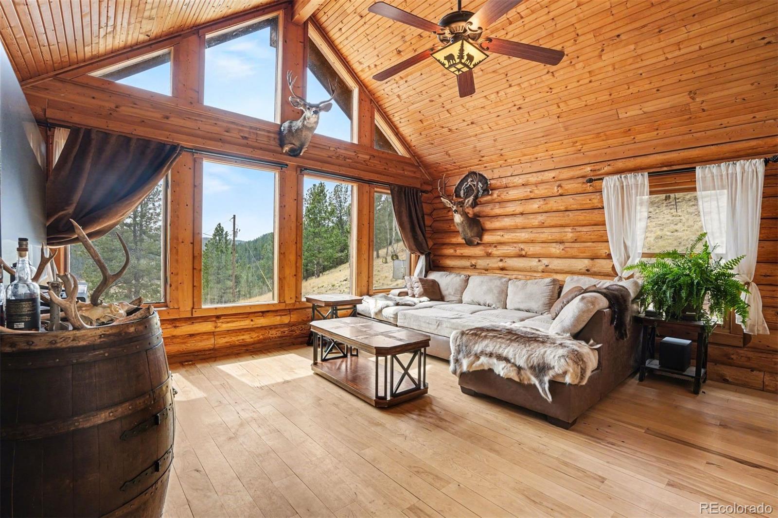220 Rocky Mountain View Divide CO 80814