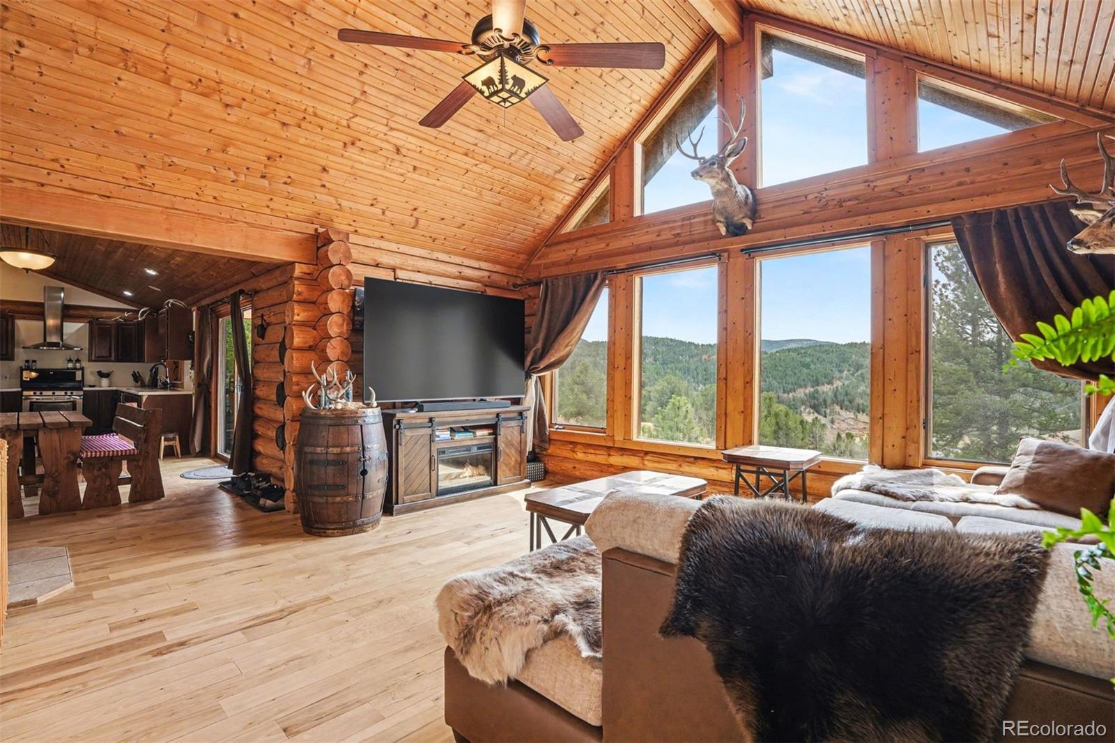 220 Rocky Mountain View Divide CO 80814