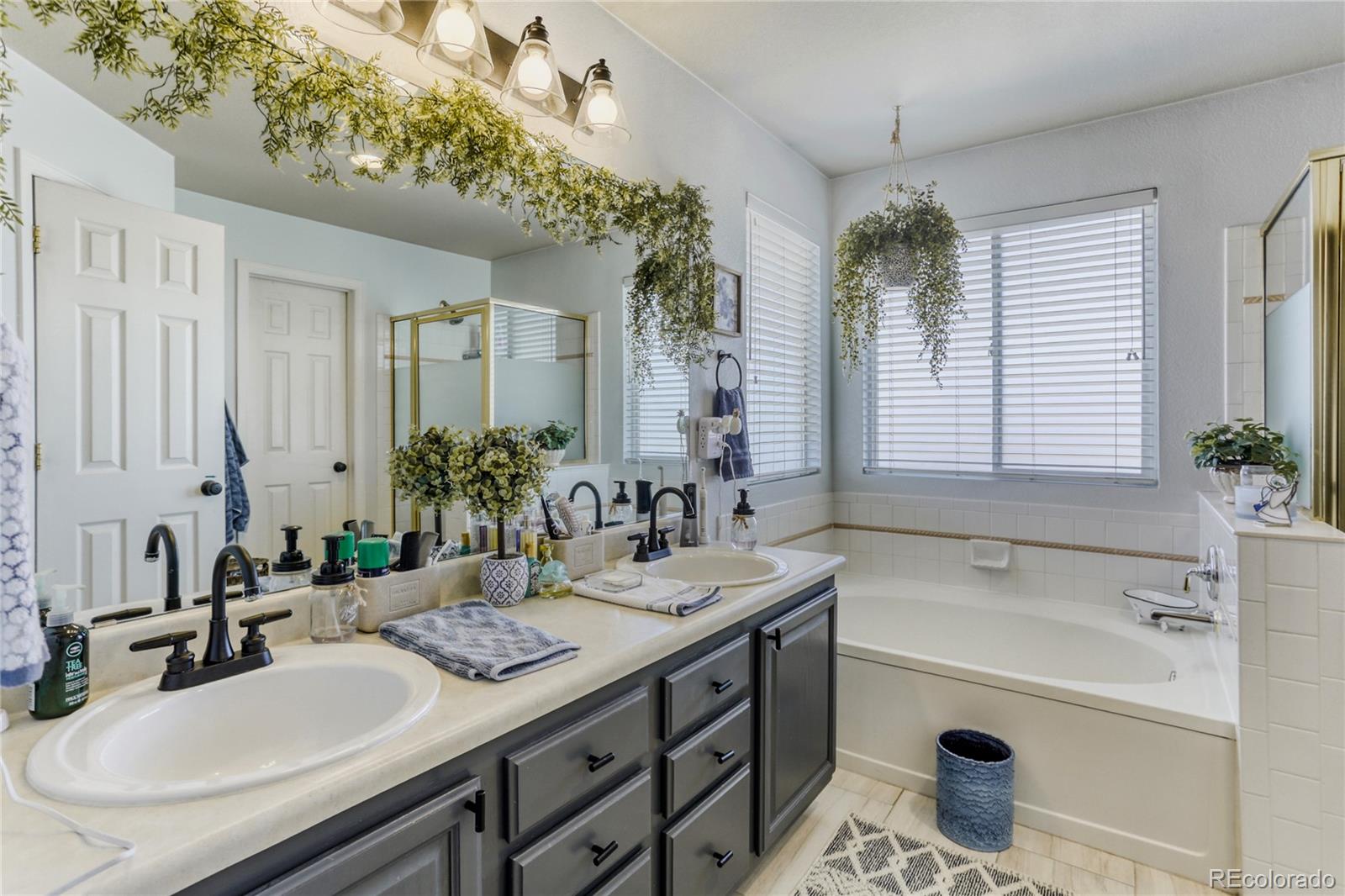 5205 S Meadow Lark Drive Castle Rock CO 80109
