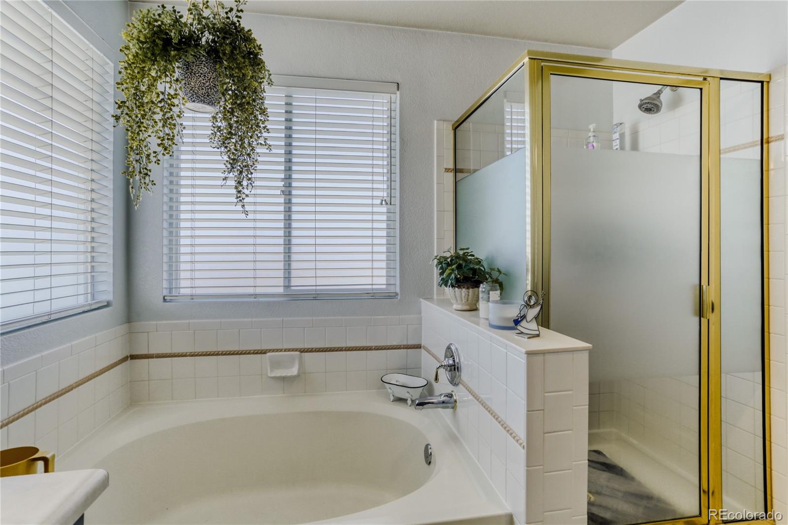 5205 S Meadow Lark Drive Castle Rock CO 80109